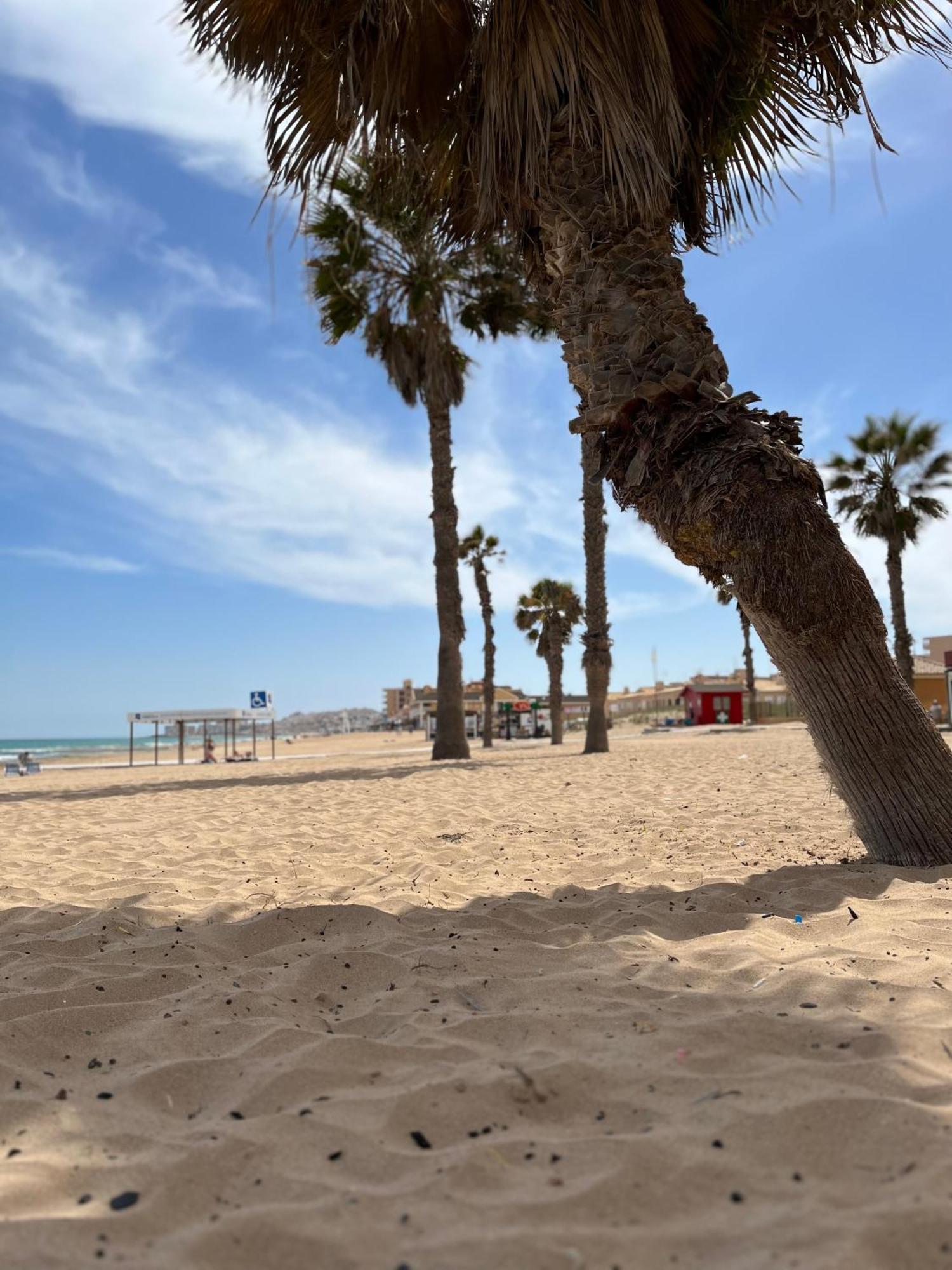 Sol De Mar, La Mata Apartamento La Mata  Exterior foto